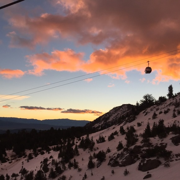 Meet your Posher, Danika - Picture 1 of 1